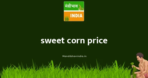 Sweet Corn भाव